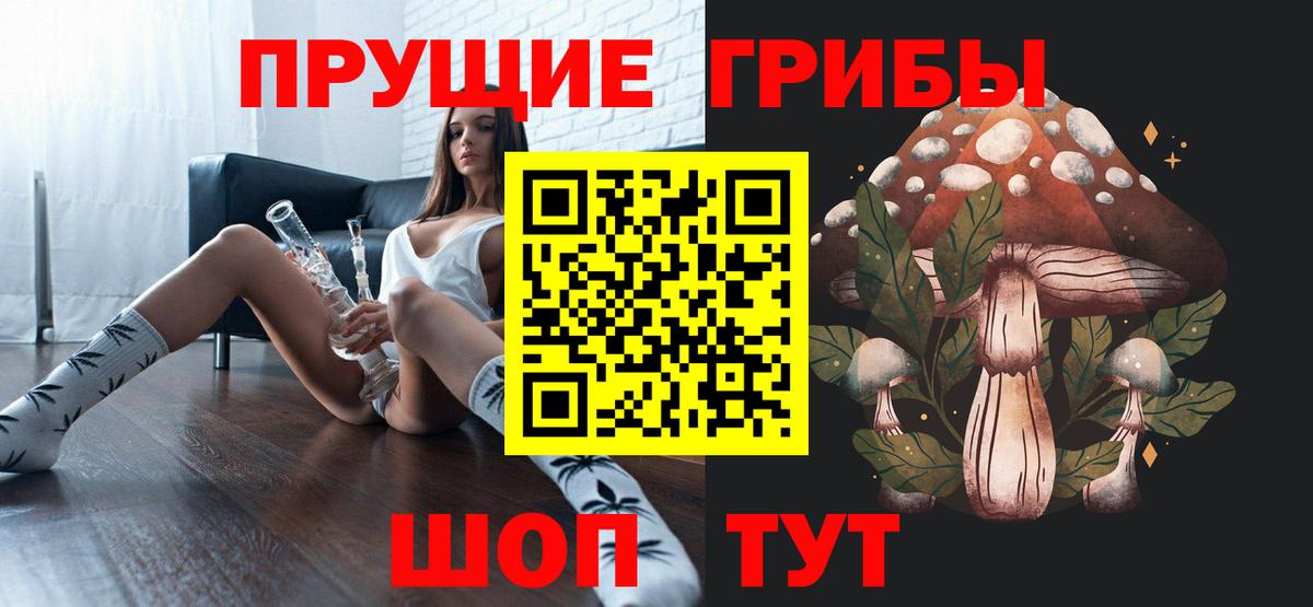 Галлюциногенные грибы Psilocybine cubensis  Вход с VPN  где купить наркоту  Павлово 